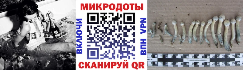 blacksprut вход  как найти закладки  Янаул  Псилоцибиновые грибы ЛСД 